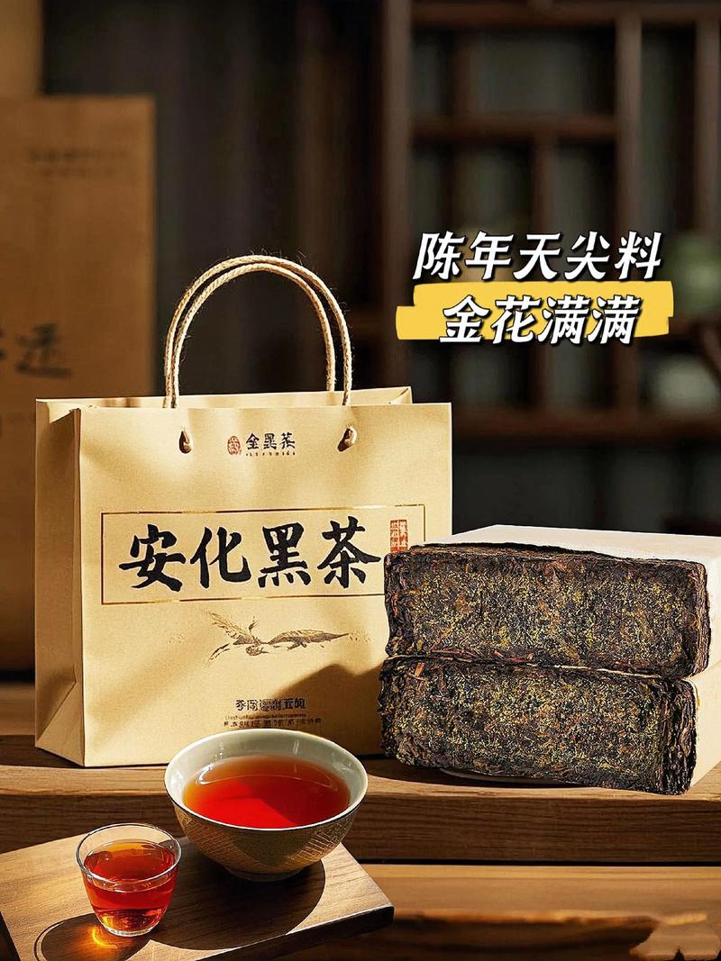 探寻安化黑茶的神秘魅力
