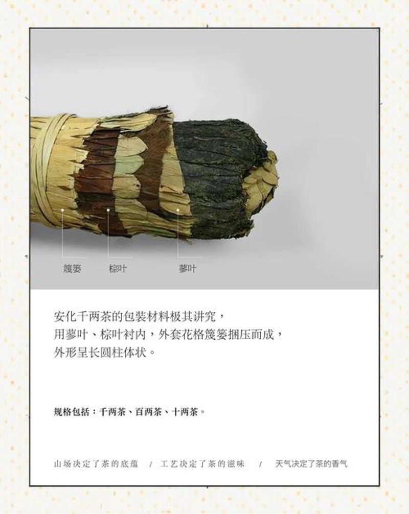 安化黑茶：如何巧妙提升品鉴技巧？