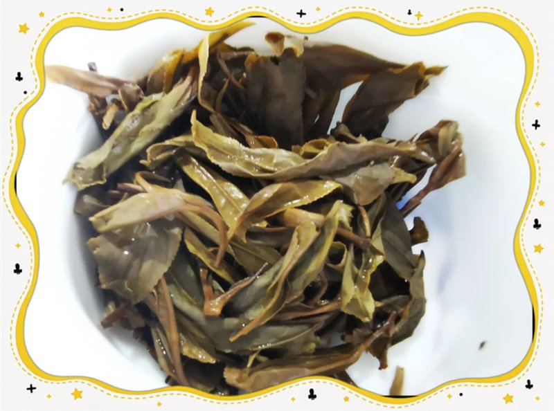 警惕黑茶行业误区：走出安化黑茶厂家的误解
